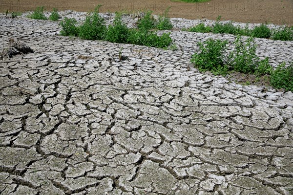 Terre sèche, Saint-Omer, Pas-de-Calais