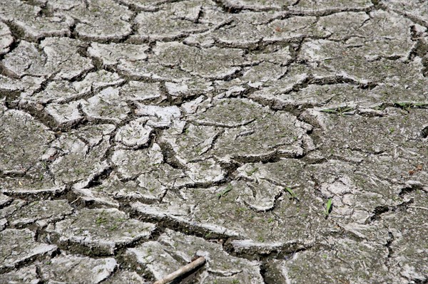 Dry cracked earth