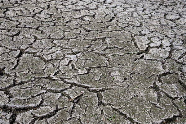 Dry cracked earth