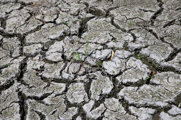 Dry cracked earth