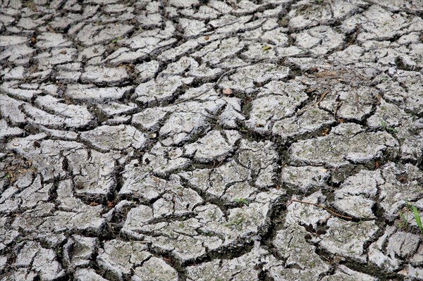 Dry cracked earth