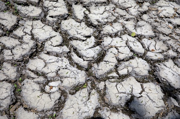 Dry cracked earth