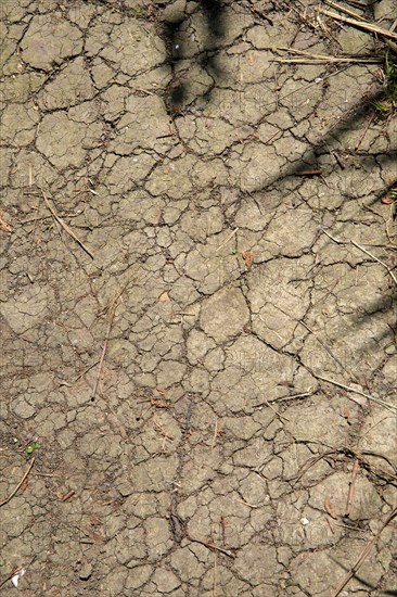 Dry cracked earth