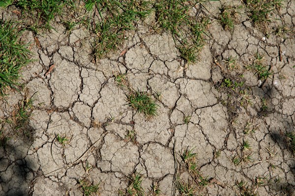 Dry cracked earth