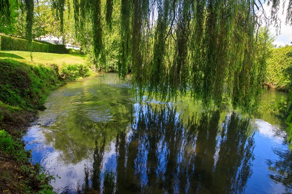 Pont-l'Evêque, Calvados