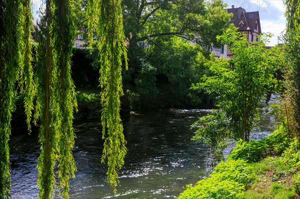 Pont-l'Evêque, Calvados