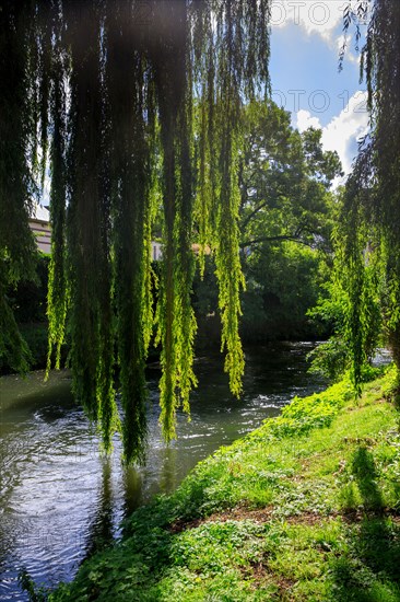 Pont-l'Evêque, Calvados