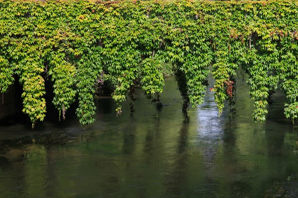 Pont-l'Evêque, Calvados