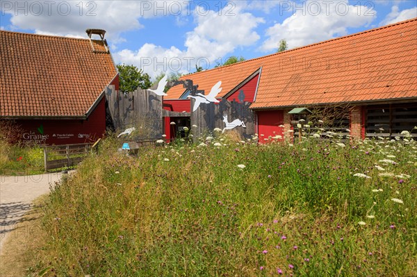 Saint-Omer, Pas-de-Calais