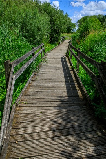 Saint-Omer, Pas-de-Calais