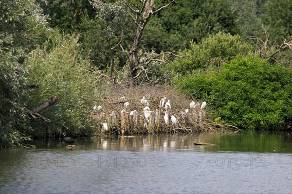 Saint-Omer, Pas-de-Calais