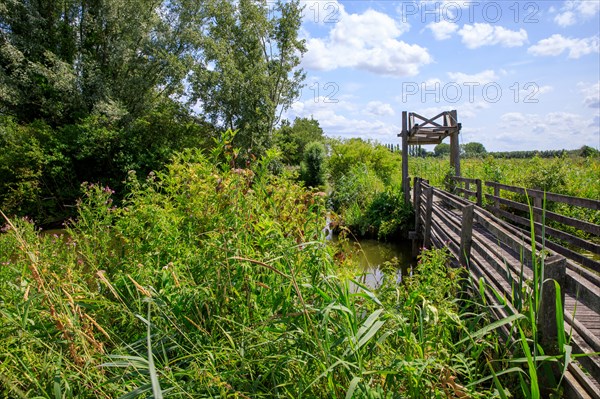 Saint-Omer, Pas-de-Calais