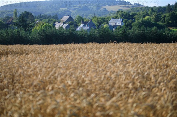 Saint-Rémy-sur-Orne, Calvados