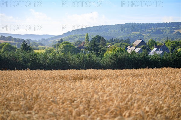 Saint-Rémy-sur-Orne, Calvados