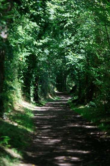 Clécy, Calvados