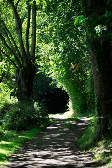 Clécy, Calvados