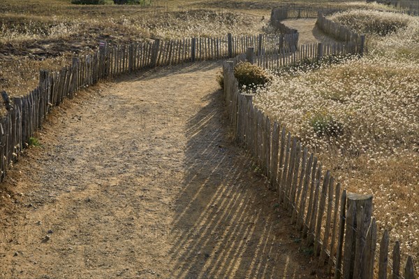 Saint-Hilaire de Riez, Vendée