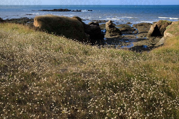 Saint-Hilaire de Riez, Vendée