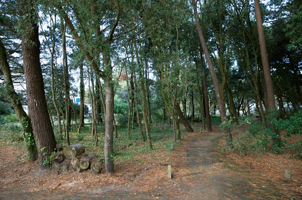 Saint-Hilaire de Riez, Vendée