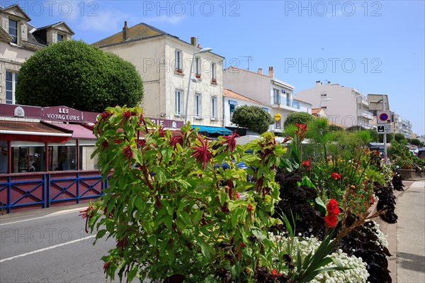 Saint-Gilles-Croix-de-Vie, Vendée