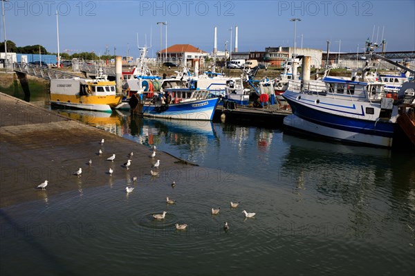 Le Havre, Seine-Maritime