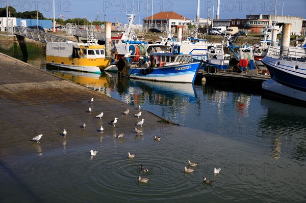 Le Havre, Seine-Maritime