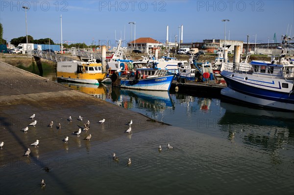 Le Havre, Seine-Maritime