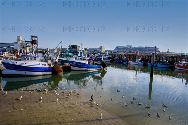 Le Havre, Seine-Maritime