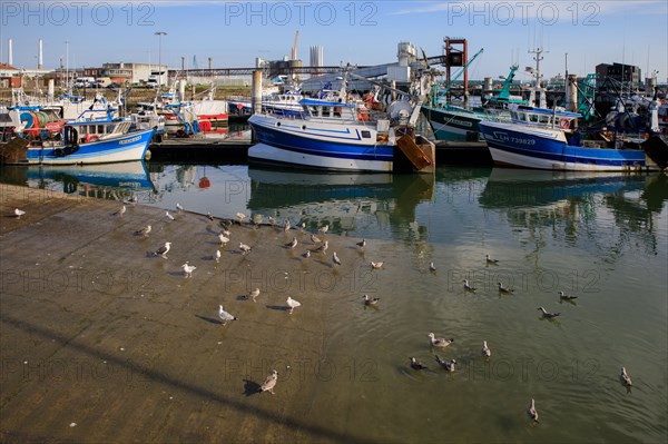 Le Havre, Seine-Maritime