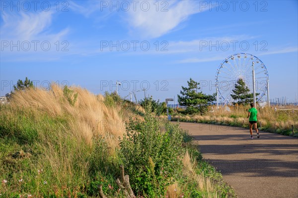 Le Havre, Seine-Maritime