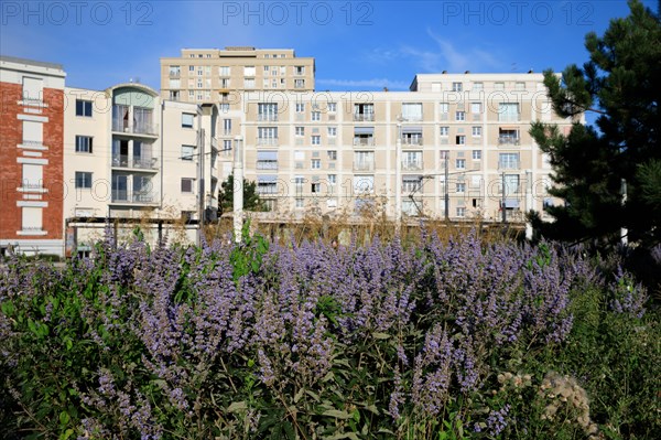 Le Havre, Seine-Maritime