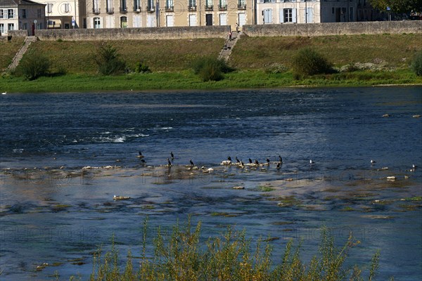 Blois, Loir-et-Cher