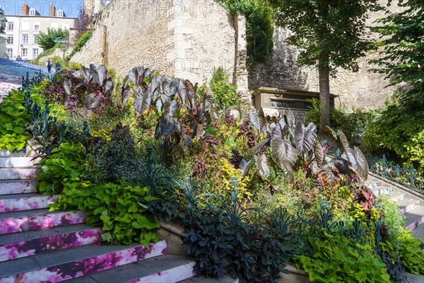 Blois, Loir-et-Cher