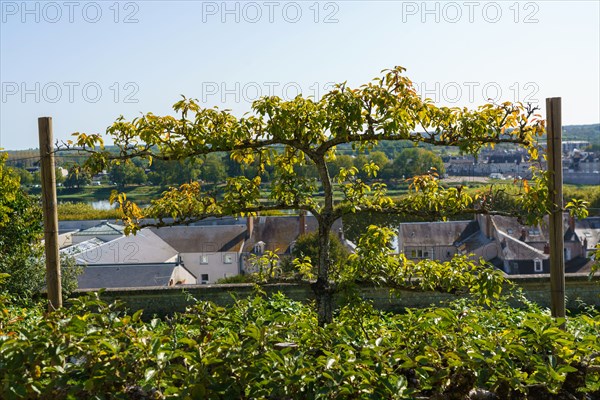 Blois, Loir-et-Cher