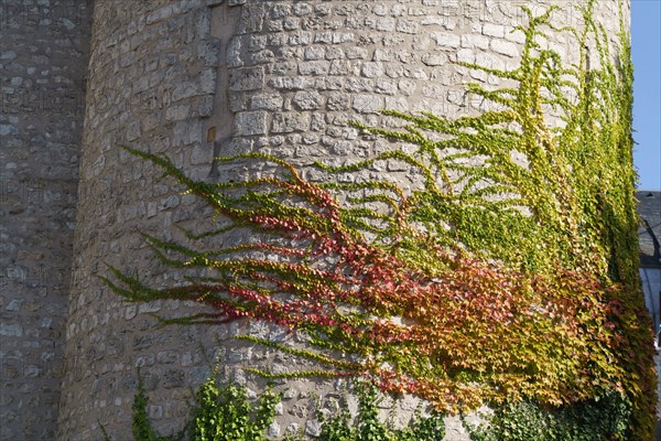 Blois, Loir-et-Cher