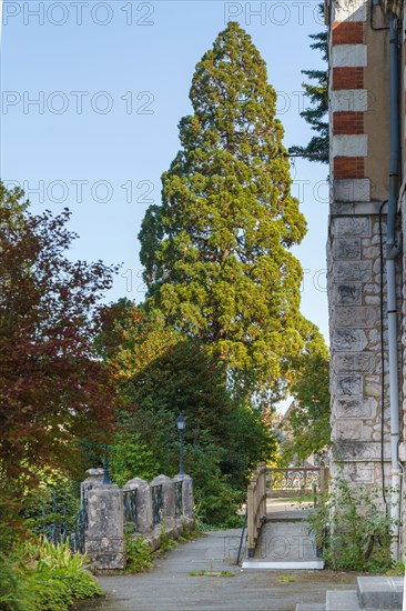 Blois, Loir-et-Cher