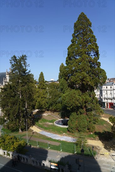 Blois, Loir-et-Cher