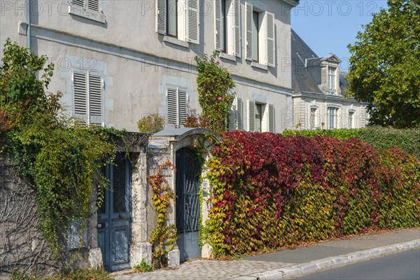 Blois, Loir-et-Cher