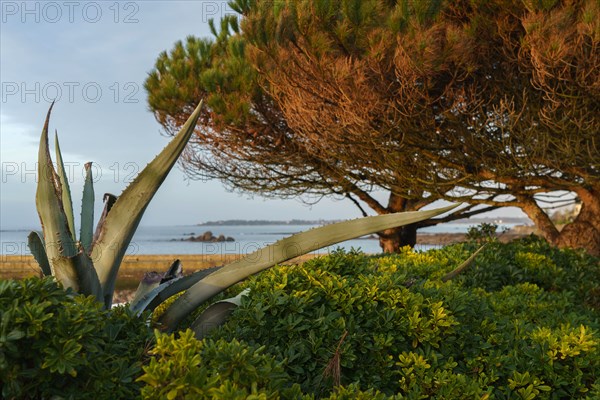 Concarneau, Finistère