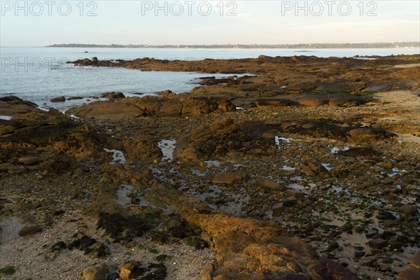 Concarneau, Finistère