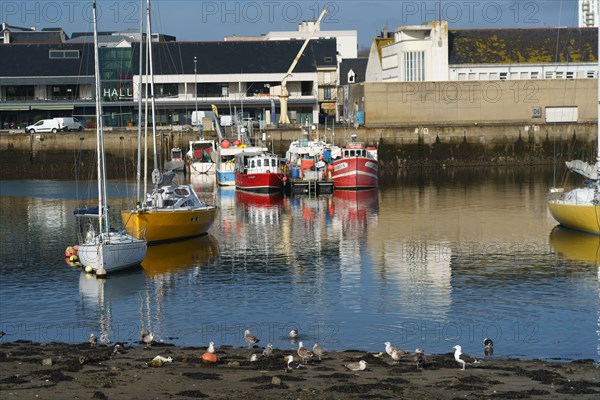 Concarneau, Finistère