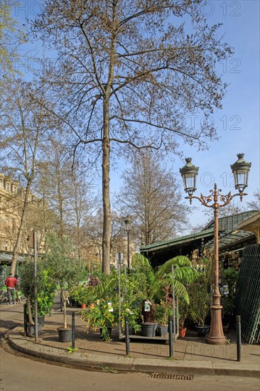 Paris, place Louis Lépine