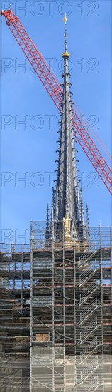 Paris, the new spire of Notre-Dame de Paris is installed