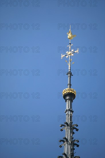 Paris, the new spire of Notre-Dame de Paris is installed