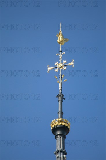 Paris, the new spire of Notre-Dame de Paris is installed