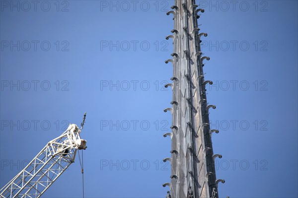 Paris, the new spire of Notre-Dame de Paris is installed