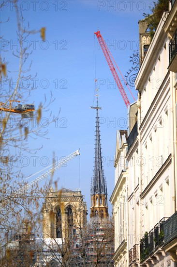 Paris, the new spire of Notre-Dame de Paris is installed