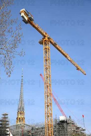 Paris, pose de la nouvelle flèche de Notre-Dame de Paris