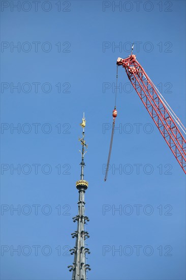 Paris, the new spire of Notre-Dame de Paris is installed