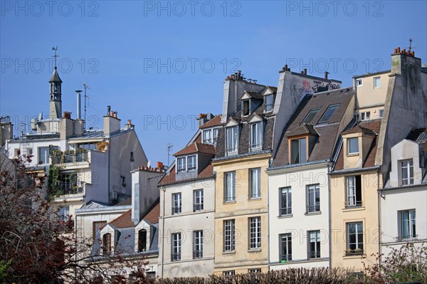 Paris, rue saint Julien le Pauvre